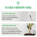 🌱식물영양제 세솔 500ml 솔직 리뷰｜(주)카본엔네이처 제품, 이제 이거 하나면 농장도 든든해요!