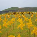 해바라기가 아름다운 가을날 데이트 - 파주 적성 양산박 한우마을 이미지