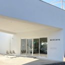 정원비디오 | 제주 동쪽 가볼만 한 곳 추천 제주 야외정원이 예쁜카페 비케이브