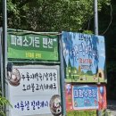 부산 근교 캠핑장 양산 캠핑배내 그늘 많은 계곡 캠핑장 후기(전체 사이트 ,명당 추천)