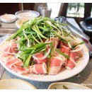 물꽁오리 이미지