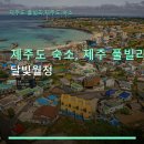 월정달빛 | 제주도 숙소, 제주 풀빌라 달빛월정 월정리 해변 가까운 펜션