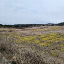 성읍리-18 이미지