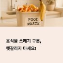 전용용기+납부필증+기타 | 음식물 쓰레기 vs 일반 쓰레기: 헷갈리는 분리배출 완벽 가이드
