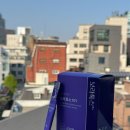 보라개발인력 이미지