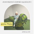 대원저수지 이동식간이화장실 | 와일드벅스 곤충탐험대 : 인천 아기랑 실내 가볼만한곳 입장료 할인 주차