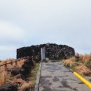 협자연대 이미지