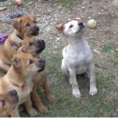 진상농장 이미지