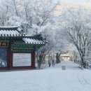 버드글램핑 이미지