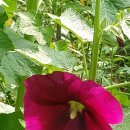 박달농장 이미지