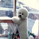 뭉치쌀롱 이미지