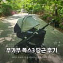 폭스더그린 | 부가부 폭스3 디럭스 유모차 당근 후기, 가격 및 주의사항, 악세사리 추천