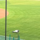 랜디모어 | ⚾️ SSG vs 키움 경기 240411 [SSG 랜더스필드 직관] 1루 응원지정석시야