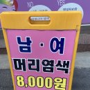 구피샾
