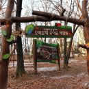 청사초롱 유아숲체험원 이미지