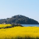 오감역사놀이 | 지역관광 안테나숍! 봄나들이 성지? 2026 도심서 즐기는 전국 오감 여행