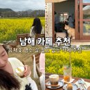 남해-104 | 경남 남해 가볼만한곳 카페 추천 유채꽃 명소가 여기! 유즈노모레