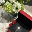 팬더 | 까르띠에 시계 ✨팬더 스몰✨ 구매 및 착용 후기(팬더 미듐, 산토스 비교 착샷)