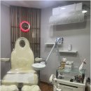 뷰티푸스켓츠 이미지