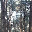 신팔1리 경로당 이미지