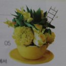 벨리타커피플라워