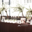 마리앤코 이미지