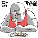 더레인보우샐러드