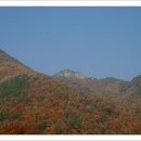 주산지 이미지