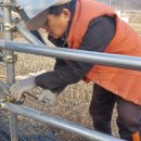 꽃피는집 이미지