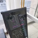 빠박이 애견미용 | 대전서구애견미용 용문동 츄펫살롱 꼼꼼하고 친절해요