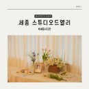 스튜디오드엘리 이미지