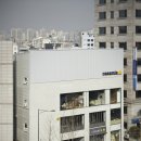 서교 이미지