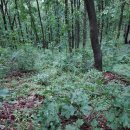 영기농장 이미지