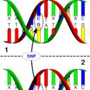 서울구강내과치과의원 이미지