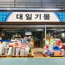대일기물