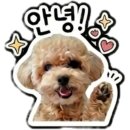 [풍동맛집]모모식당 후기♡