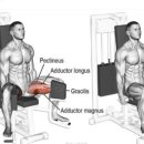 # 헬스타짐 이미지