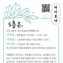 호야마켓