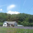 녹전로(녹전면) 이미지