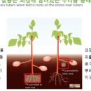 한국바이오비료