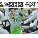 쌍용예가태권도 이미지