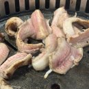 산꼼장어 이미지