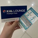 도로시파스타연정 김포장기점 | 임산부 28주 일상 (야구장 갔다가 제주도 여행 - 대한항공 프레스티지 후기, 우진해장국 )