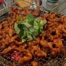 진안도야지 이미지