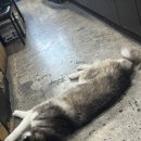 똘이PC방 이미지