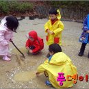 숲의 마음 이미지