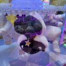 왕오락실 이미지