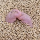 한솔낚시 | 청라문화센터 홈플러스문화센터 청라홈플러스문센 한솔잼잼나라 여름학기 (안정이선생님)