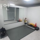 플러스파인