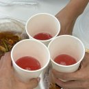 독일피엠 | 요즘 연예인들 혈당관리 왜 할까? 내돈내산 독일피엠 씨밸런스 후기 (8kg 감량 후 1년째 유지)